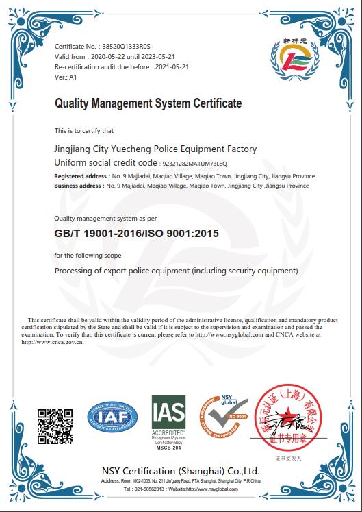 ISO 9001 Quality System English